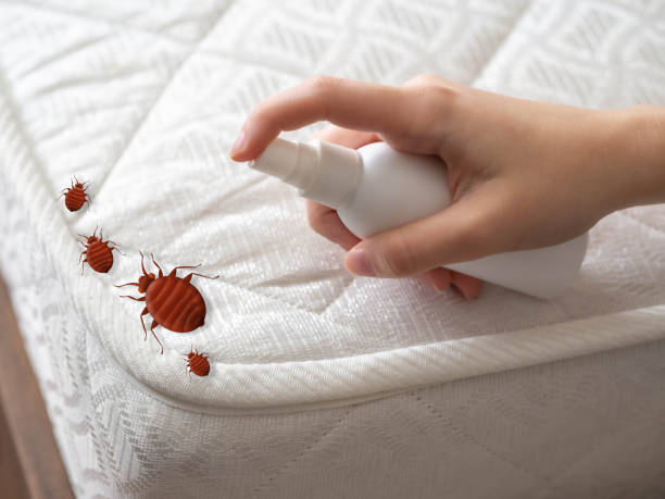 Best Pest Control Near Me  in Fulton, MD