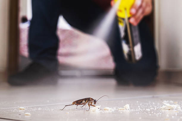 Flea Control Services in Fulton, MD